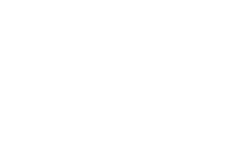 Geeks Data